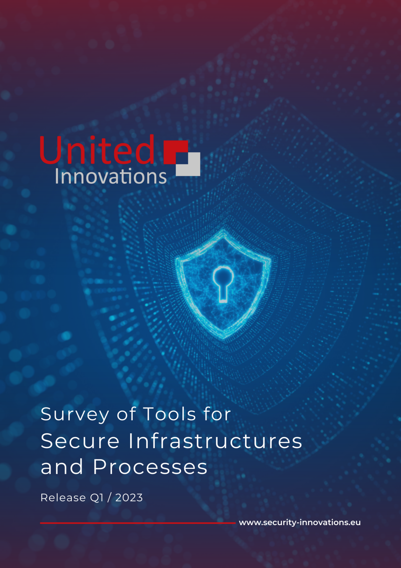 Titelbild Security Survey